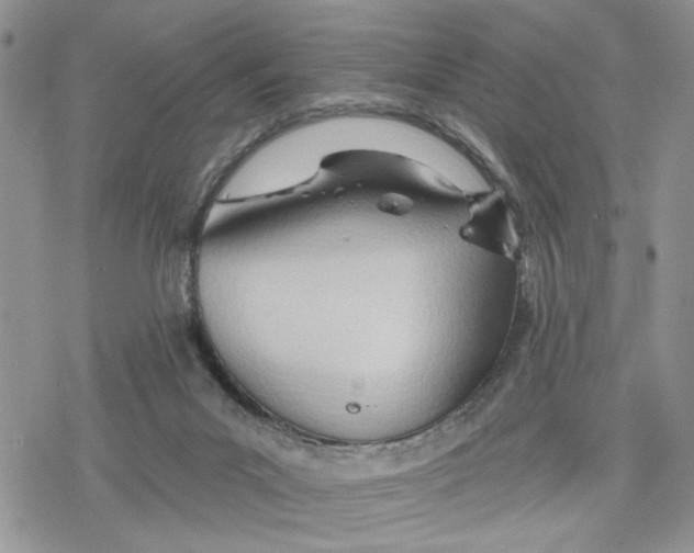 X0000078230023200611251225