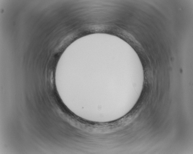 X0000078230024200611251225