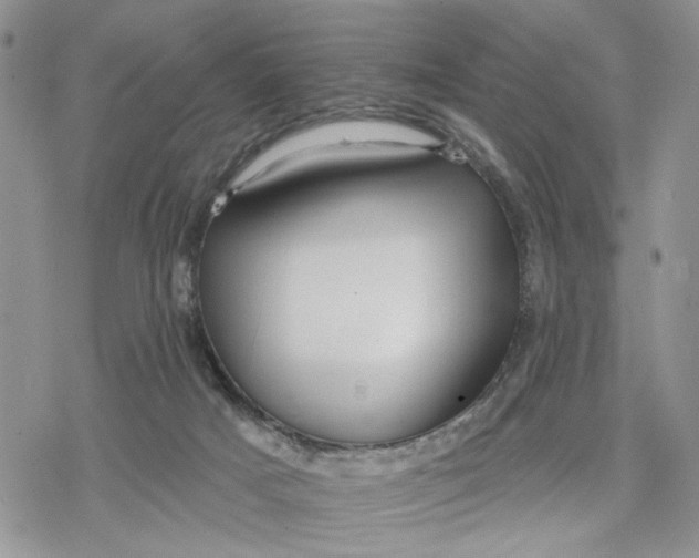 X0000078230025200611251225