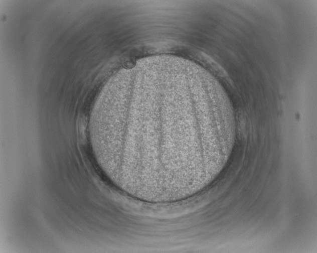 X0000078230026200611251225