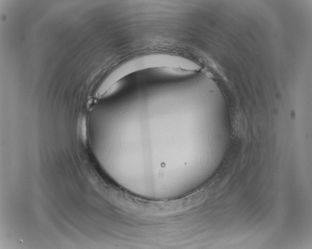 X0000078230027200611251225