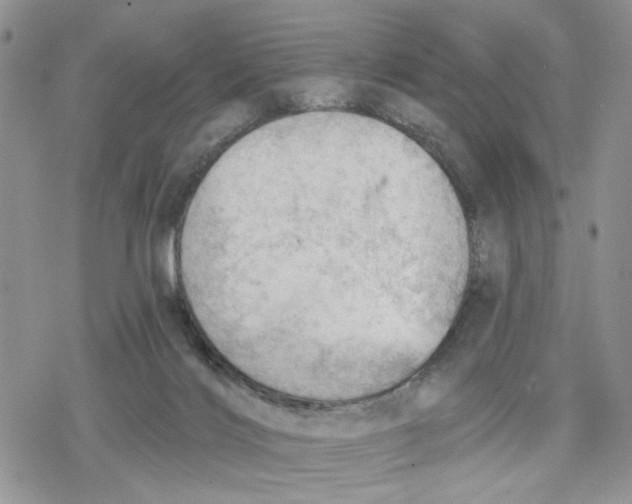 X0000078230028200611251225