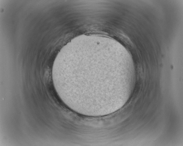 X0000078230029200611251225