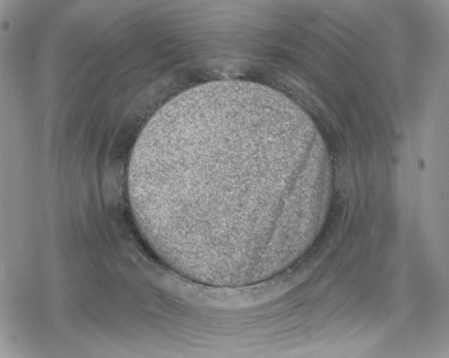 X0000078230030200611251225