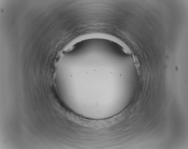 X0000078230031200611251225