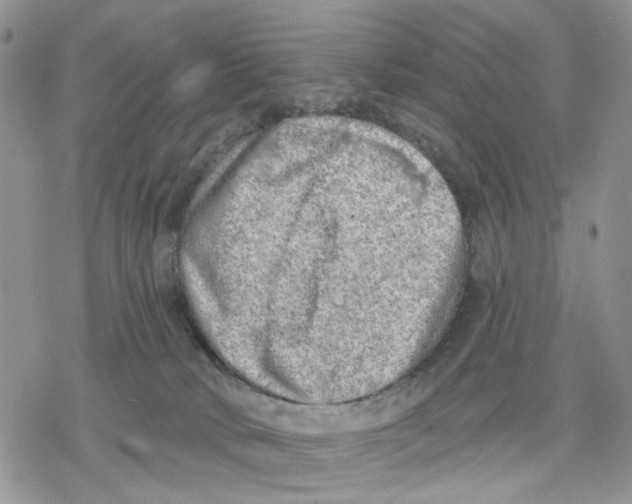 X0000078230034200611251225