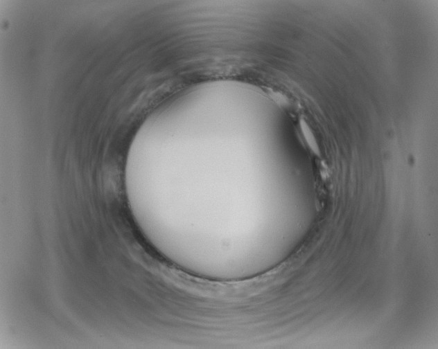 X0000078230035200611251225