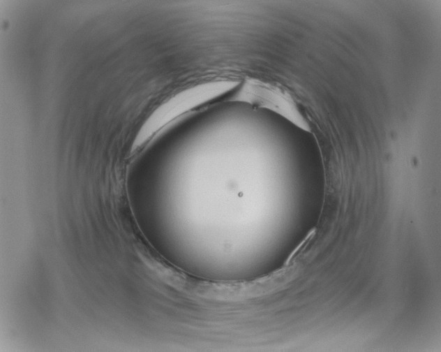 X0000078230037200611251225