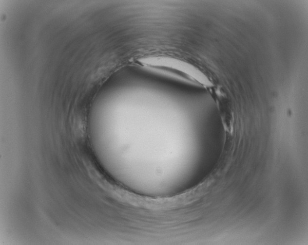 X0000078230039200611251225