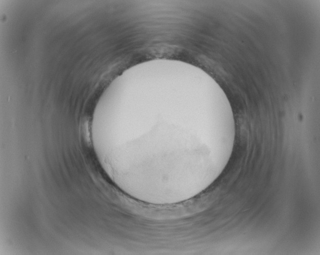 X0000078230042200611251225