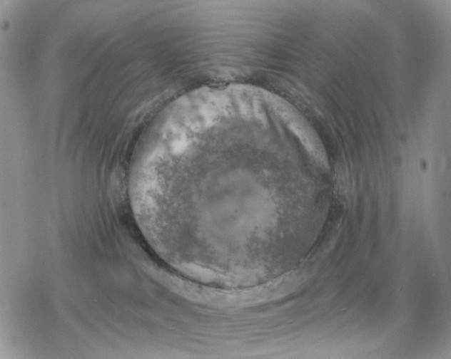 X0000078230043200611251225