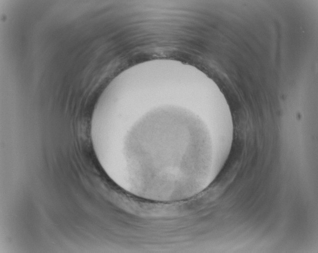 X0000078230044200611251225