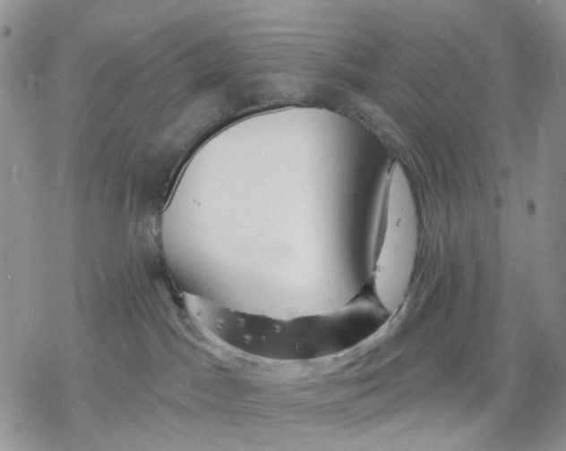 X0000078230045200611251225