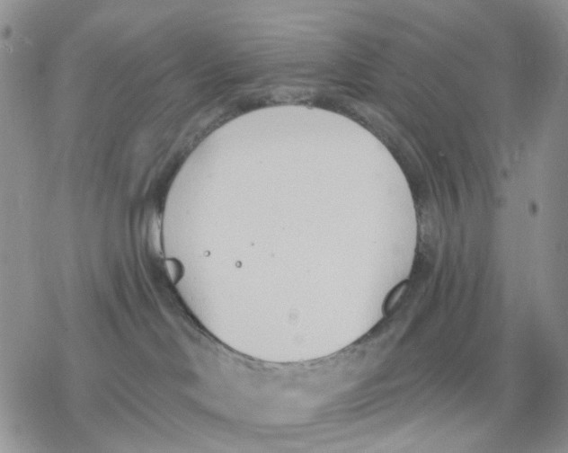 X0000078230046200611251225