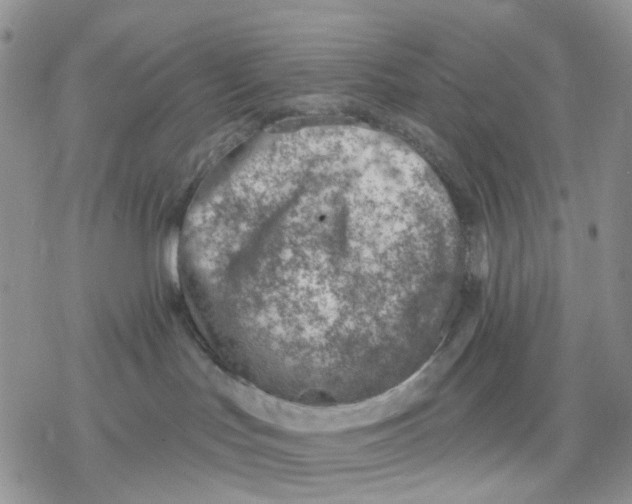 X0000078230047200611251225