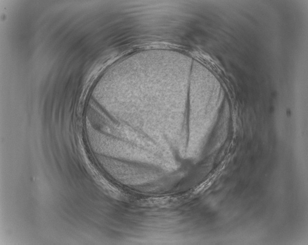 X0000078230049200611251224