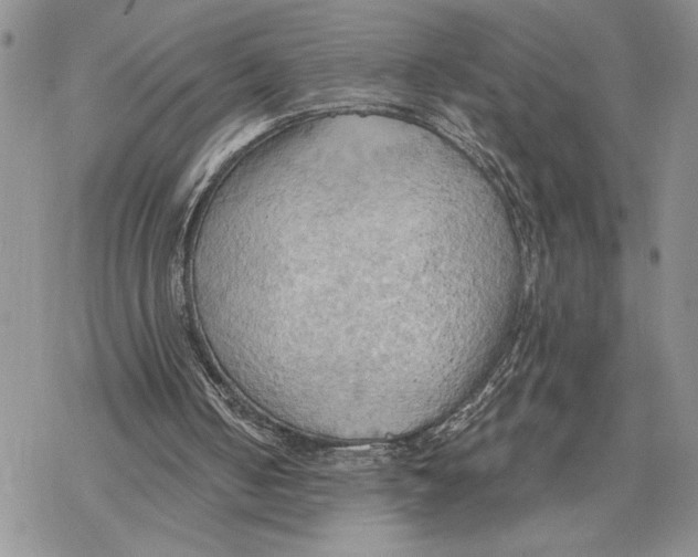 X0000078230050200611251224