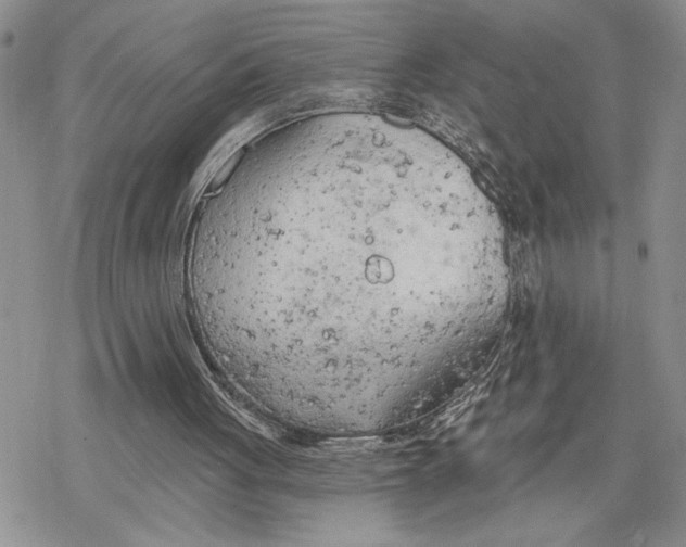 X0000078230051200611251224