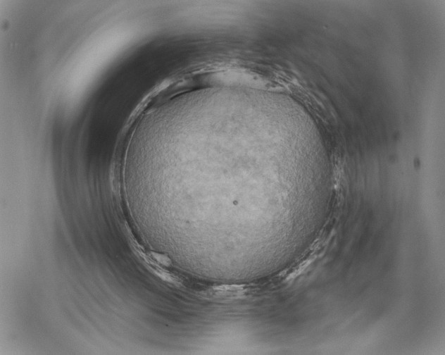 X0000078230052200611251224