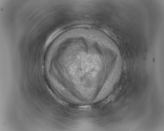 X0000078230053200611251224