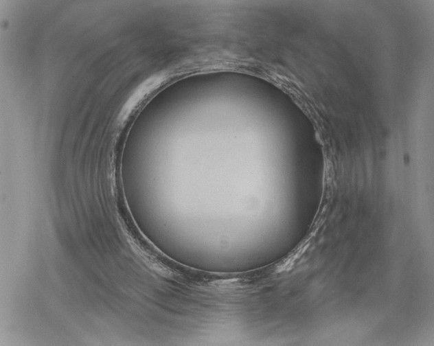 X0000078230054200611251224