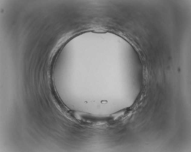 X0000078230055200611251224