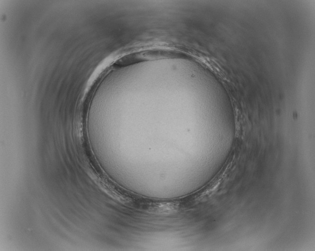 X0000078230056200611251224