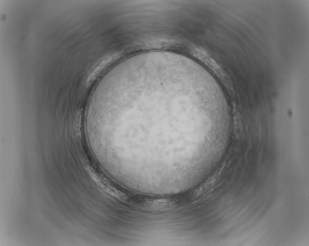 X0000078230058200611251224