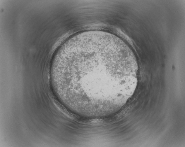 X0000078230059200611251224