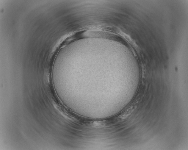 X0000078230060200611251224