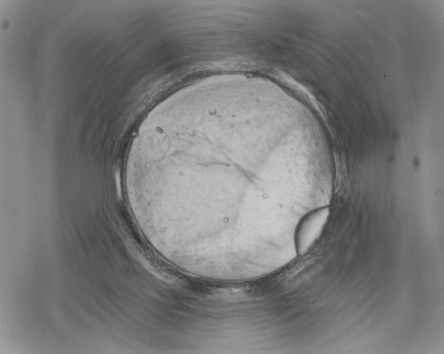 X0000078230061200611251224