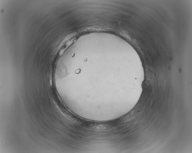 X0000078230062200611251224