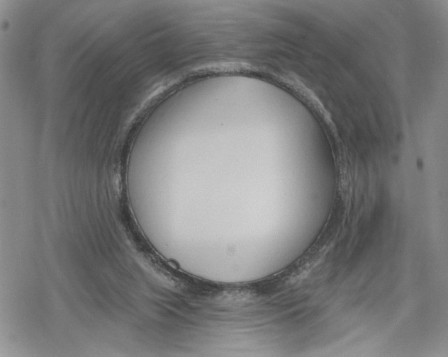 X0000078230063200611251224