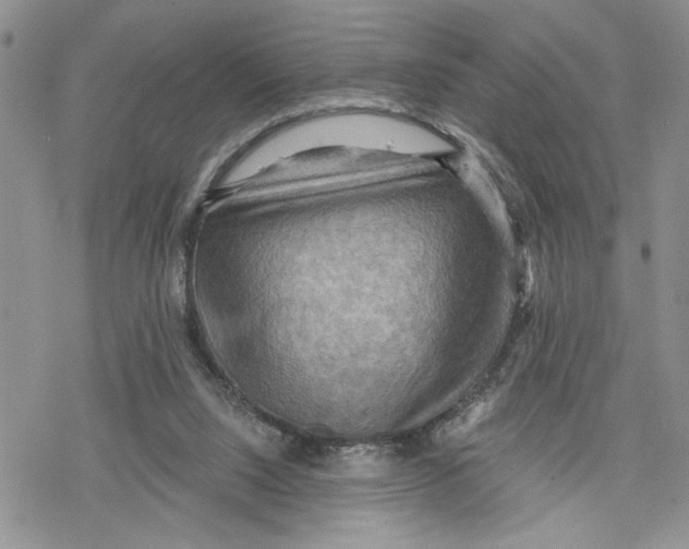 X0000078230064200611251224