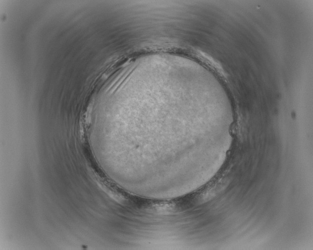 X0000078230065200611251224