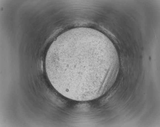 X0000078230067200611251224