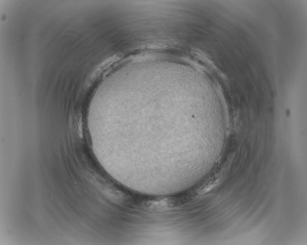 X0000078230068200611251224