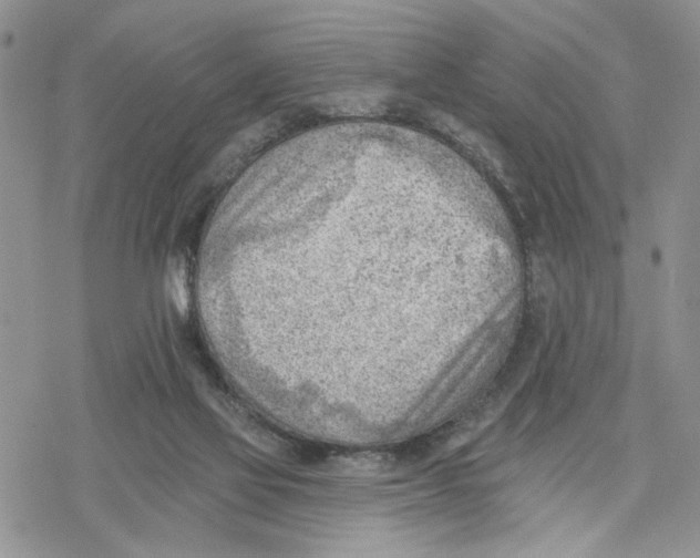 X0000078230069200611251224