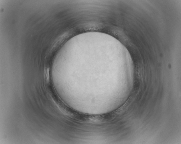 X0000078230070200611251224