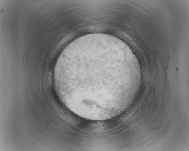 X0000078230071200611251224