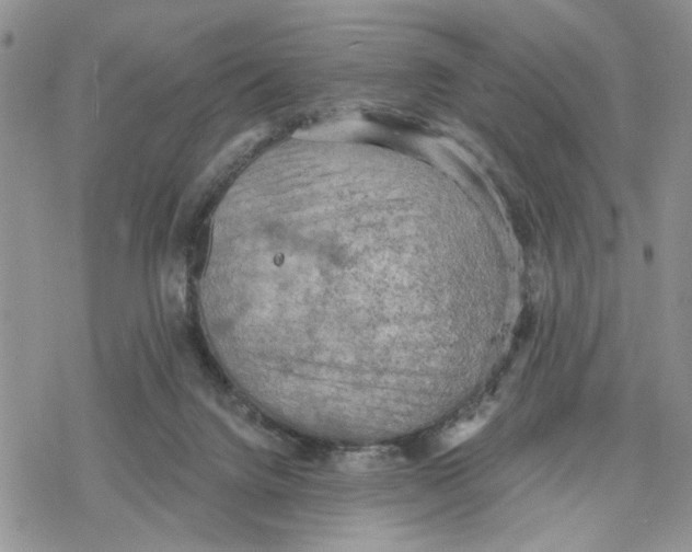 X0000078230072200611251224