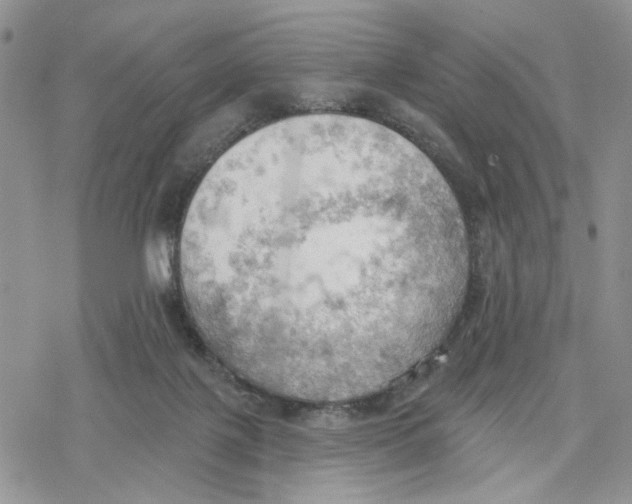 X0000078230075200611251224