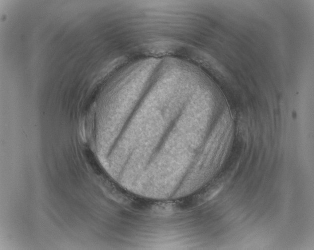 X0000078230076200611251224