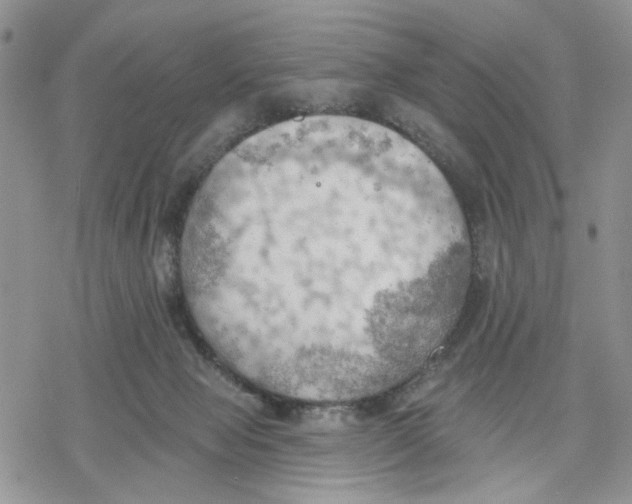 X0000078230077200611251224