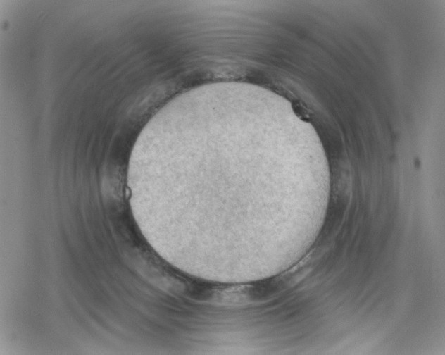 X0000078230078200611251224