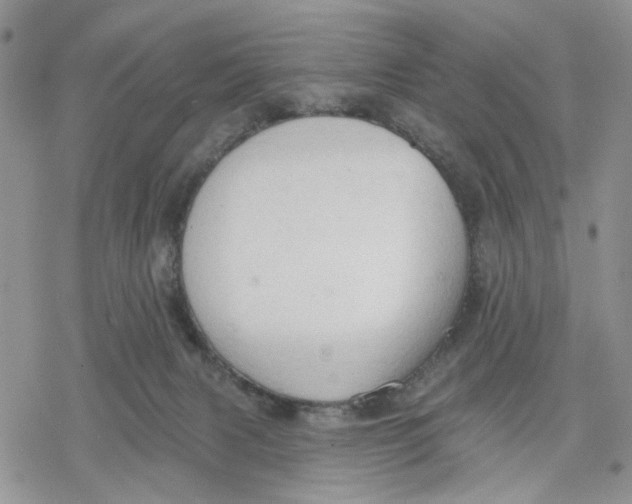 X0000078230079200611251224