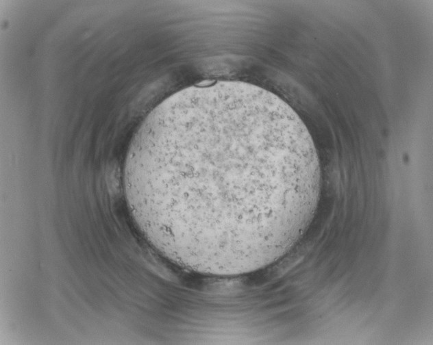 X0000078230081200611251224