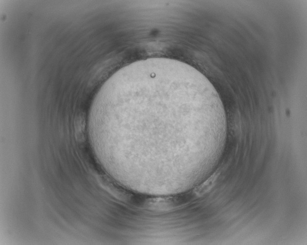 X0000078230082200611251224