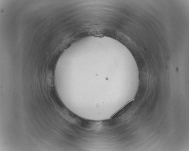 X0000078230083200611251224