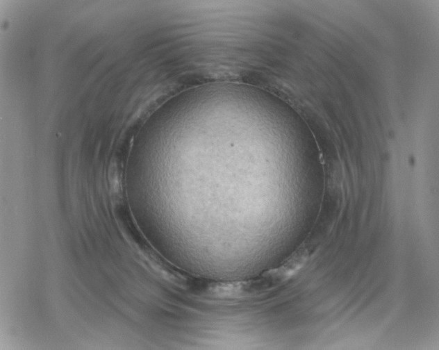 X0000078230084200611251224